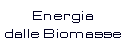   Energia dalle Biomasse  